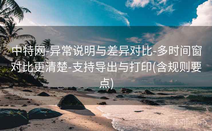 中特网-异常说明与差异对比-多时间窗对比更清楚-支持导出与打印(含规则要点)